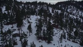5K aerial stock footage pan across evergreen trees in the San Gabriel Mountains with winter snow at twilight, California Aerial Stock Footage | AX0008_028E
