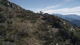 5K aerial stock footage fly over a tree on a slope and approach rugged slopes in the San Gabriel Mountains, California Aerial Stock Footage | AX0009_030