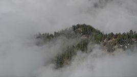 5K aerial stock footage approach and orbit trees on the San Bernardino Mountains shrouded in clouds, California Aerial Stock Footage | AX0009_117E
