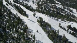 5K aerial stock footage orbit skiers on slopes at the winter ski resort of Snow Summit, California Aerial Stock Footage | AX0009_133