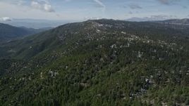5K aerial stock footage approach a mountain with snow patches and thick forest in the San Bernardino Mountains, California Aerial Stock Footage | AX0009_136
