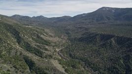 5K aerial stock footage of a narrow canyon and evergreen forest in the San Bernardino Mountains, California Aerial Stock Footage | AX0010_050