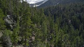 5K aerial stock footage low fly over of forest and snow patches in the San Bernardino Mountains in winter, California Aerial Stock Footage | AX0010_055E