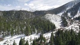 5K aerial stock footage fly over forest with snow and tilt to reveal San Bernardino Mountains in winter, California Aerial Stock Footage | AX0010_058