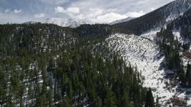 5K aerial stock footage fly over forest and snowy slopes in the San Bernardino Mountains, California Aerial Stock Footage | AX0010_059