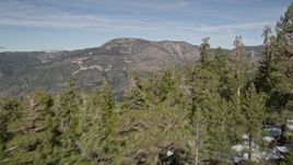 5K aerial stock footage of flying over evergreens on slopes in the San Bernardino Mountains with patches of snow, California Aerial Stock Footage | AX0010_061
