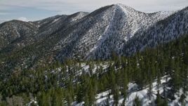 5K aerial stock footage fly over forest and approach snowy peak in the San Bernardino Mountains in winter, California Aerial Stock Footage | AX0010_065E