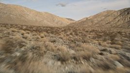 5K aerial stock footage of low altitude fly over of desert plants toward mountains in Joshua Tree National Park, California Aerial Stock Footage | AX0011_016