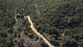 5K aerial stock footage following a dirt road bordered by trees, San Jacinto Mountains, California Aerial Stock Footage | AX0014_013E