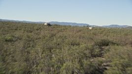 5K aerial stock footage fly low over forests revealing rural homes, Mountain Center, California Aerial Stock Footage | AX0014_020