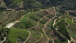 5K aerial stock footage of farmland on hills, Fallbrook, California Aerial Stock Footage | AX0015_013E