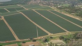 5K aerial stock footage approach farmland, Fallbrook, California Aerial Stock Footage | AX0015_030