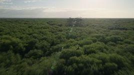 5K aerial stock footage fly low over forest near Orlando at sunrise, Florida Aerial Stock Footage | AX0018_058