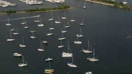 5K aerial stock footage of sailboats moored outside Dinner Key Marina in Coconut Grove, Florida Aerial Stock Footage | AX0020_004