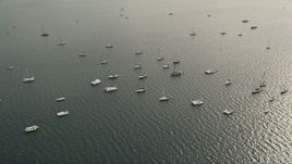 5K aerial stock footage approach and flyby sailboats and catamarans anchored near Coconut Grove, Florida Aerial Stock Footage | AX0021_150E