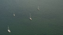 5K aerial stock footage orbit four sailboats moored in the bay near Coconut Grove, Florida Aerial Stock Footage | AX0021_152