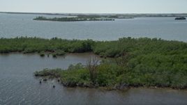5K aerial stock footage video of flying over coastal mangroves, Model Lands Basin, Homestead, Florida Aerial Stock Footage | AX0025_034