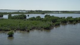 5K aerial stock footage of flying over water, revealing mangroves, Model Lands Basin, Homestead, Florida Aerial Stock Footage | AX0025_035