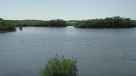 5K aerial stock footage of flying low over coastal mangroves, Model Lands Basin, Homestead, Florida Aerial Stock Footage | AX0025_036E