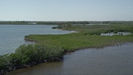 5K aerial stock footage of passing low over coastal mangroves, Model Lands Basin, Homestead, Florida Aerial Stock Footage | AX0025_039E