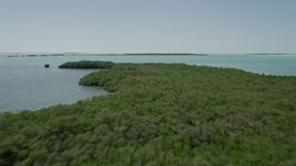 5K aerial stock footage of approaching mangroves off the shore, Key Largo, Florida Aerial Stock Footage | AX0025_073E
