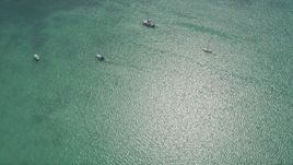 5K aerial stock footage of a bird's eye view of sailboats and catamarans, Islamorada, Florida Aerial Stock Footage | AX0025_113