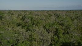 5K aerial stock footage of flying low over mangroves, revealing bays and marshlands, Upper Sugarloaf Key, Florida Aerial Stock Footage | AX0027_057E