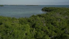 5K aerial stock footage of flying over Cudjoe Bay, tilt to reveal mangroves, Cudjoe Key, Florida Aerial Stock Footage | AX0027_062