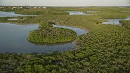 5K aerial stock footage of flying over islands with mangroves at sunset, Long Key, Florida Aerial Stock Footage | AX0028_011