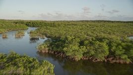 5K aerial stock footage of flying low over mangroves at sunset in Long Key, Florida Aerial Stock Footage | AX0028_012