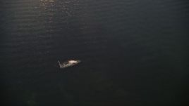 5K aerial stock footage of orbiting a sunken speedboat at sunset, Key Largo, Florida Aerial Stock Footage | AX0028_036