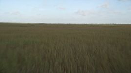 5K aerial stock footage of flying low over marshland, Florida Everglades, Florida Aerial Stock Footage | AX0030_007E