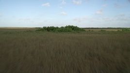 5K aerial stock footage of flying low over marshland and trees, Florida Everglades, Florida Aerial Stock Footage | AX0030_009E