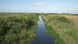 5K aerial stock footage of flying low over marshland, reveal river and alligator in the water, Florida Everglades, Florida Aerial Stock Footage | AX0030_012E