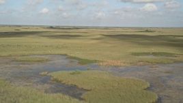 5K aerial stock footage of flying by marshland, Florida Everglades, Florida Aerial Stock Footage | AX0030_031