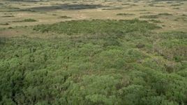 5K aerial stock footage of Florida marshland, Florida Everglades, Florida Aerial Stock Footage | AX0030_036E