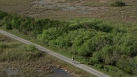 5K aerial stock footage of approaching cyclist on country road, Florida Everglades, Florida Aerial Stock Footage | AX0030_043