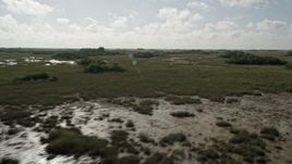 5K aerial stock footage of passing by marshland, Florida Everglades, Florida Aerial Stock Footage | AX0030_047