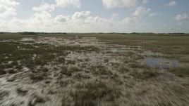 5K aerial stock footage of flying over marshland in the Florida Everglades, Florida Aerial Stock Footage | AX0030_051