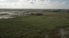 5K aerial stock footage of flying over marshland, ascend and tilt to marshes, Florida Everglades, Florida Aerial Stock Footage | AX0030_052
