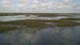 5K aerial stock footage of flying low over marshland, Florida Everglades, Florida Aerial Stock Footage | AX0030_075E