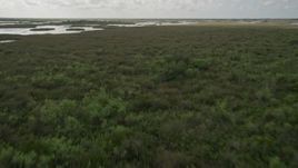 5K aerial stock footage video of flying over forest and marshes in the Florida Everglades, Florida Aerial Stock Footage | AX0030_079E