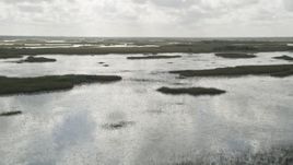5K aerial stock footage of flying over marshes and wetlands, Florida Everglades, Florida Aerial Stock Footage | AX0030_084