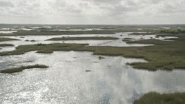 5K aerial stock footage of passing low over marshland, Florida Everglades, Florida Aerial Stock Footage | AX0030_085