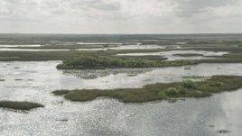 5K aerial stock footage of flying by cluster of trees surrounded by marshland, Florida Everglades, Florida Aerial Stock Footage | AX0030_086