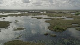5K aerial stock footage of flying over marshland, tilt to the water, Florida Everglades, Florida Aerial Stock Footage | AX0030_087
