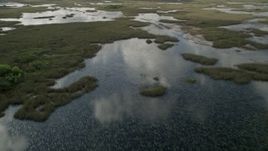 5K aerial stock footage of flying over a marshland, Florida Everglades, Florida Aerial Stock Footage | AX0030_088