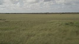 5K aerial stock footage of flying by a marshland, Florida Everglades, Florida Aerial Stock Footage | AX0030_094