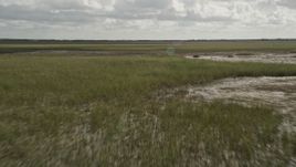 5K aerial stock footage of flying low over marshland, Florida Everglades, Florida Aerial Stock Footage | AX0030_097E