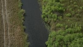 5K aerial stock footage of following a river, Florida Everglades, Florida Aerial Stock Footage | AX0030_102
